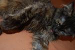     
: DSC_0232.jpg
: 18
:	103.6 
ID:	4270923