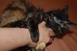     
: DSC_0227.jpg
: 15
:	80.4 
ID:	4270925