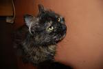     
: DSC_0225.jpg
: 14
:	76.6 
ID:	4270927