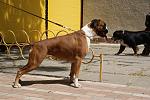     
: DSC05261.jpg
: 64
:	148.6 
ID:	4274555