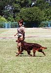     
: IMG_6850.jpg
: 21
:	132.2 
ID:	4275570