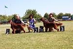     
: IMG_6857_1.jpg
: 26
:	250.6 
ID:	4275579