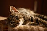     
: DSC03298.jpg
: 17
:	103.6 
ID:	4276477