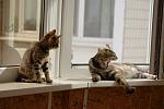     
: DSC03417.jpg
: 21
:	94.8 
ID:	4276717