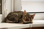     
: DSC03431.jpg
: 14
:	86.7 
ID:	4276718