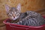     
: DSC03503.jpg
: 14
:	119.5 
ID:	4277422