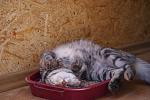     
: DSC03469.jpg
: 17
:	106.9 
ID:	4277437