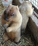     
: DSC03960.JPG
: 23
:	151.1 
ID:	4278311