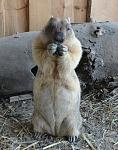     
: DSC03963.JPG
: 22
:	154.0 
ID:	4278313