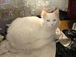     
: DSC03323.jpg
: 42
:	131.7 
ID:	4278684