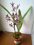     
: 15052012870.jpg
: 47
:	93.4 
ID:	4279606