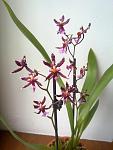     
: 15052012873.jpg
: 30
:	75.2 
ID:	4279610