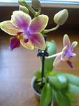     
: 15052012865.jpg
: 45
:	57.9 
ID:	4279620