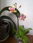     
: 15052012875.jpg
: 48
:	73.3 
ID:	4279642