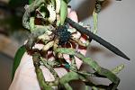     
: IMG_5473.jpg
: 29
:	100.6 
ID:	4279919