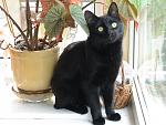     
: DSC03347.jpg
: 12
:	131.2 
ID:	4282106