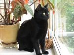     
: DSC03346.jpg
: 12
:	137.4 
ID:	4282107