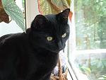     
: DSC03348.jpg
: 13
:	111.6 
ID:	4282108