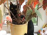     
: DSC03345.jpg
: 10
:	136.2 
ID:	4282110