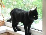     
: DSC03349.jpg
: 8
:	102.5 
ID:	4282111