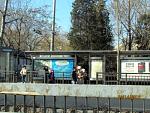     
: IMG_0244.JPG
: 24
:	49.5 
ID:	4283185
