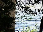     
: DSCN7104.jpg
: 10
:	246.2 
ID:	4284467