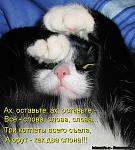     
: кот.jpg
: 21
:	73.3 
ID:	4286079