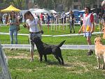     
: IMG_7530.jpg
: 13
:	238.7 
ID:	4286586