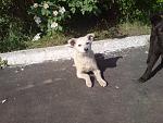    
: DSC05909.jpg
: 31
:	191.1 
ID:	4287357