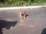     
: DSC05906.jpg
: 36
:	152.2 
ID:	4287361