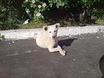     
: DSC05911.jpg
: 35
:	189.2 
ID:	4287362