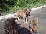    
: DSC05910.jpg
: 36
:	197.2 
ID:	4287364