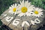     
: rBWAvYsm1As.jpg
: 10
:	38.5 
ID:	4287684