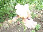     
: P5170706.jpg
: 10
:	115.8 
ID:	4288507