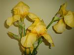     
: DSC01257.jpg
: 4
:	88.6 
ID:	4289307