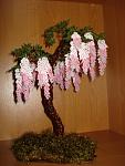     
: DSC01379.JPG
: 7
:	79.1 
ID:	4291794