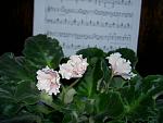     
: PICT4836.jpg
: 3
:	107.5 
ID:	4293715