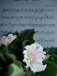     
: PICT4839.jpg
: 2
:	51.7 
ID:	4293716