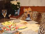     
: DSC05382.jpg
: 11
:	124.3 
ID:	4295510