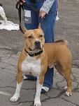     
: DSC04284.jpg
: 7
:	93.8 
ID:	4295512