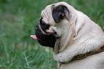     
: DSC_0119.JPG
: 9
:	109.4 
ID:	4297474