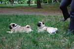     
: DSC_0115.JPG
: 8
:	194.6 
ID:	4297475