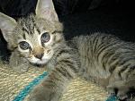     
: PICT5064.jpg
: 7
:	199.1 
ID:	4297785