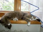     
: PICT5056.jpg
: 11
:	143.0 
ID:	4297815
