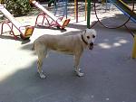     
: 05191312.jpg
: 61
:	132.9 
ID:	4297857