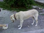     
: 05191317a.jpg
: 66
:	172.8 
ID:	4297858