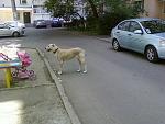     
: 05191311d.jpg
: 44
:	139.5 
ID:	4297859
