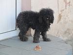     
: IMG_1497.jpg
: 18
:	104.7 
ID:	4299256