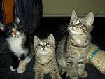     
: PICT5095.jpg
: 2
:	167.7 
ID:	4300056