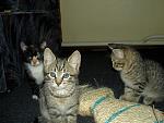     
: PICT5094.jpg
: 4
:	147.4 
ID:	4300069